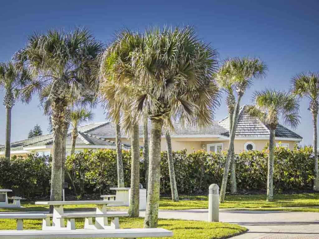 Florida home, blue skies, palm trees